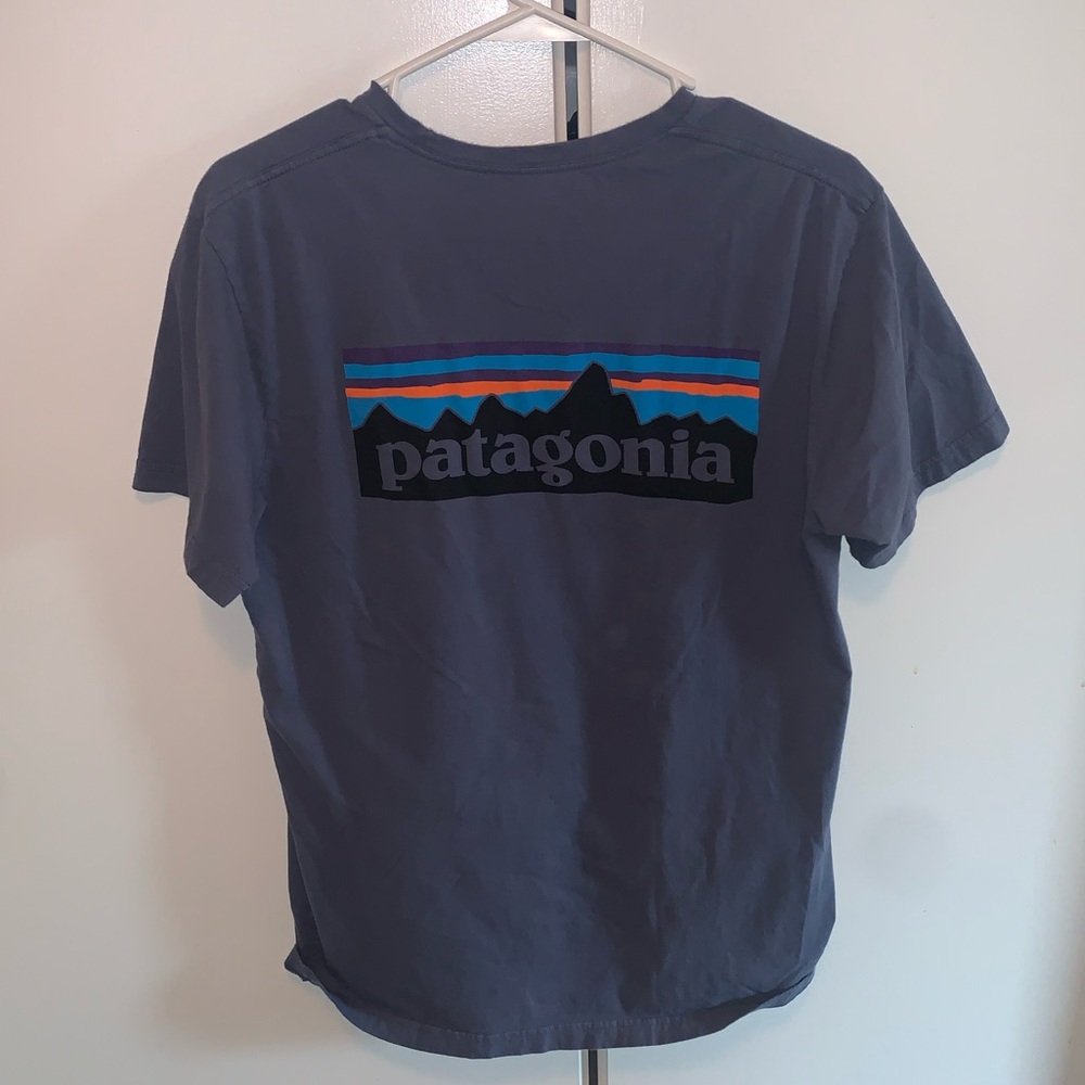 Patagonia tee shirt